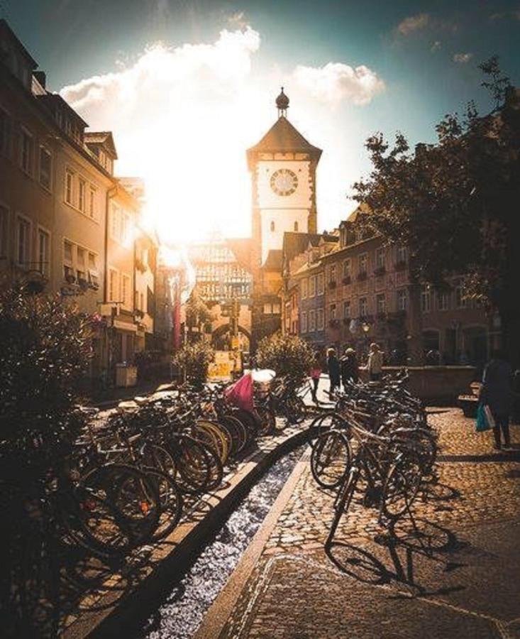 Deluxe Studio 9 In Der Altstadt Lejlighed Freiburg im Breisgau Eksteriør billede